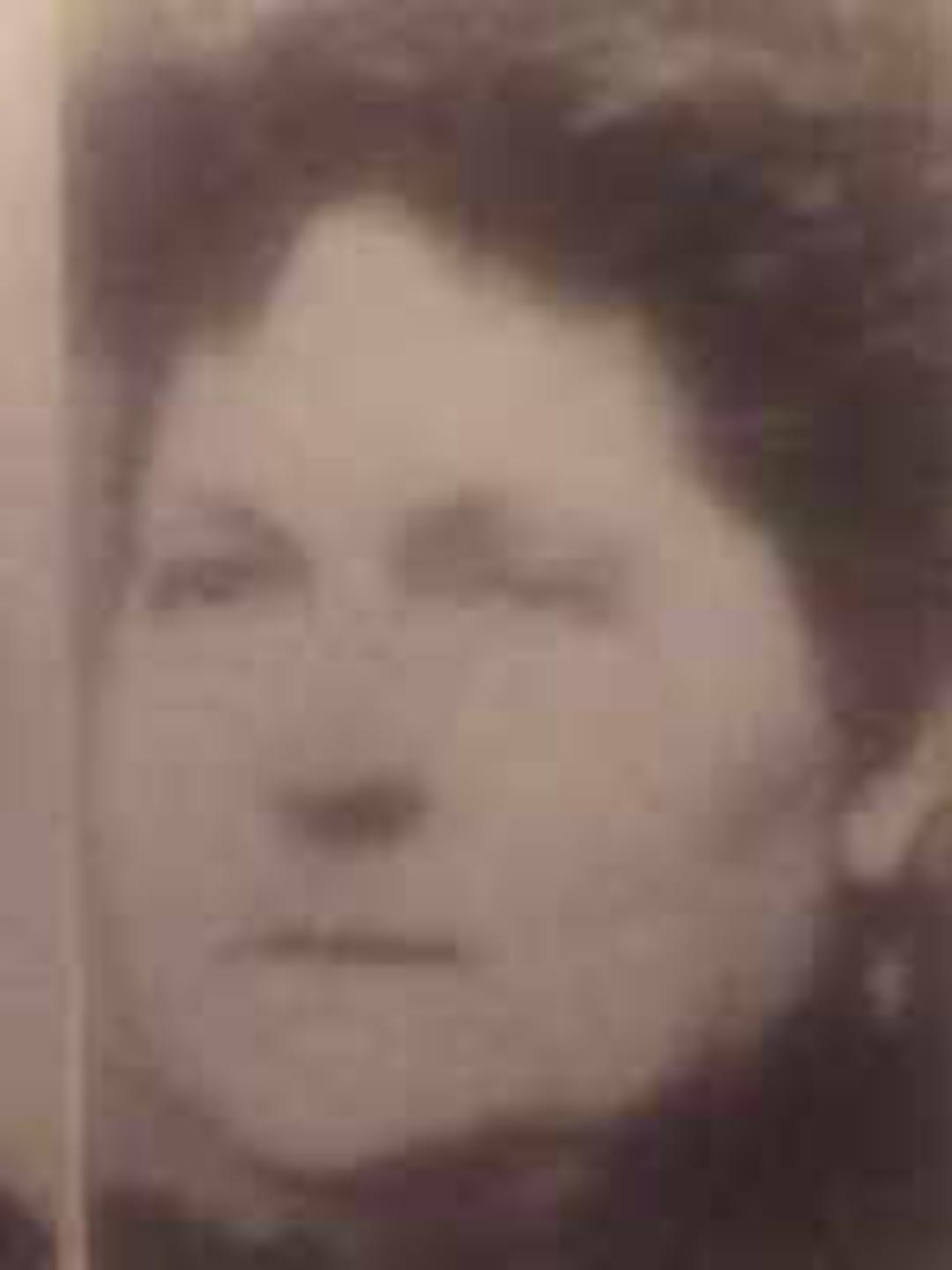 Alvira Jane Pratt (1843 - 1925) Profile